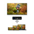 Телевизор THOMSON 43UG5C14