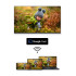 Телевизор THOMSON 65UG5C14