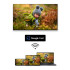 Телевизор THOMSON 43QG5C14