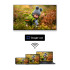 Телевизор THOMSON 65QG6C14