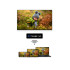 Телевизор THOMSON 55QG7C14