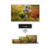 Телевизор THOMSON 65QG7C14